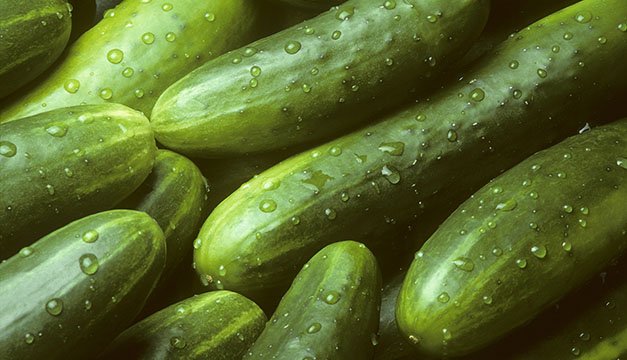 ¿Ya conoces las propiedades del pepino en tu cuerpo? Descúbrelas aquí
