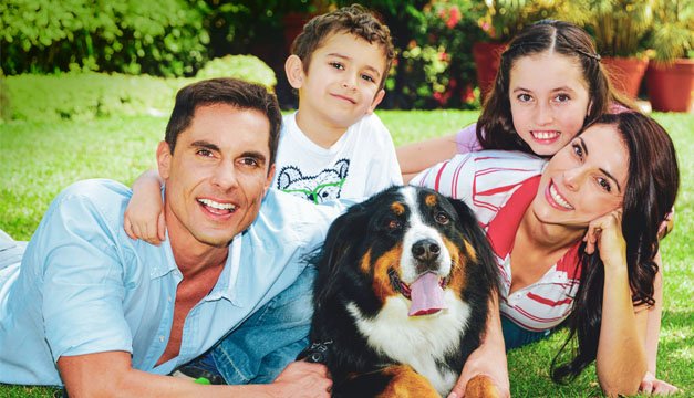 En época decembrina,  no compres mascotas; mejor adopta