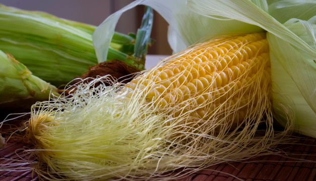 Descubre las maravillas del té de pelo de elote para tus riñones