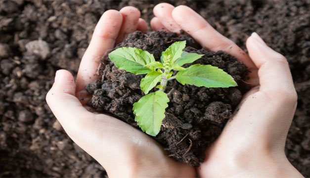 Día del Medio Ambiente