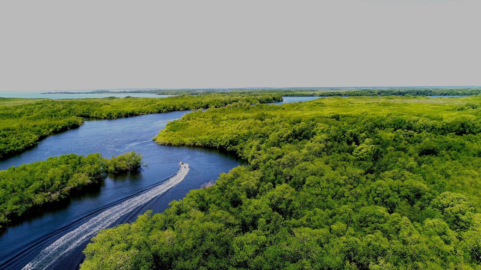 Importancia de los humedales para la salud humana