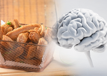 Descubren que una dieta rica en grasas afecta a la memoria en solo 3 días