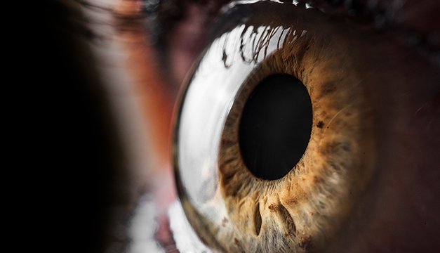 No es la Luna, es el Sol el que incrementa la pasión y el deseo sexual