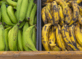 Así evitarás que los plátanos maduren rápido y pierdan sus nutrientes