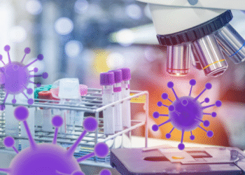 Descubren cómo las bacterias se protegen de virus atacantes