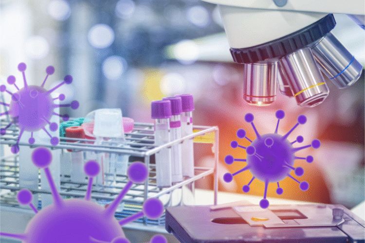 Descubren cómo las bacterias se protegen de virus atacantes