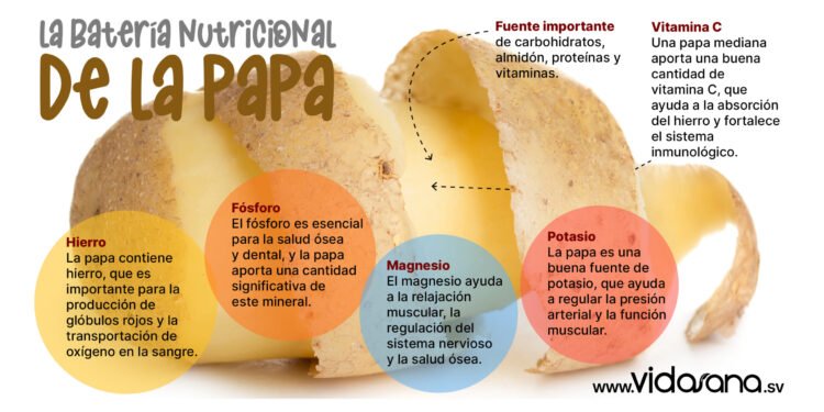 Día Internacional de la papa: Conoce sin miedo los valores nutricionales de la papa