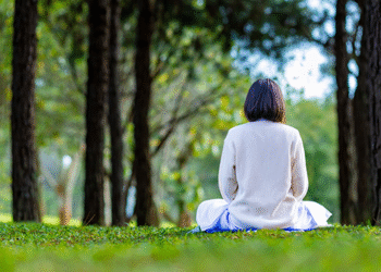 Estar 20 minutos en el bosque reduce el estrés, según un estudio de científicos austriacos