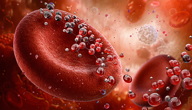 Investigadores revelan cómo envejece la sangre humana y cuál es la consecuencia