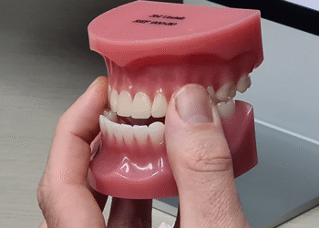 ¿Cómo una mala mordida puede provocar dolor de espalda y digestiones pesadas?