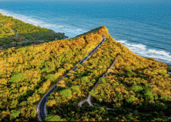 El triatlón que reta límites y conquista el mundo llega a El Salvador
