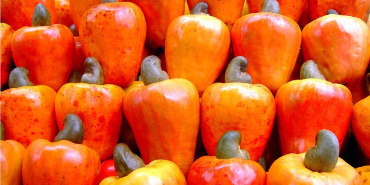 Marañón: la fruta tropical que hidrata, nutre y refresca en época de calor
