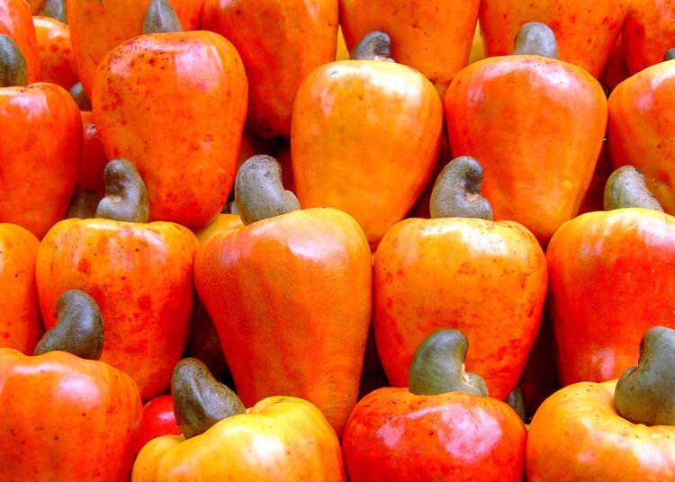 Marañón: la fruta tropical que hidrata, nutre y refresca en época de calor